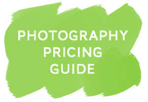 Free Pricing Gudie for Photographers from The Modern Tog