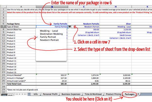 Photographer's Pricing Guide Workbook Screenshot