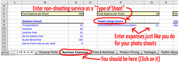 Photographer's Pricing Guide Workbook Screen Shot