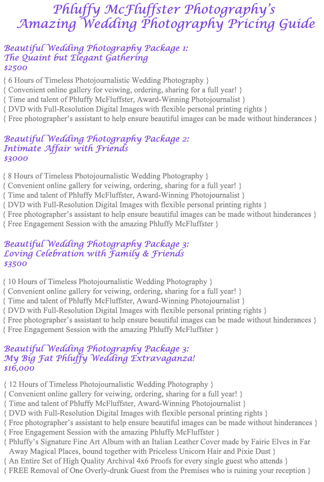 Wedding-Photography-Packages and Prices