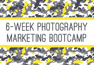 6 Week Photography Marketing Bootcamp from The Modern Tog