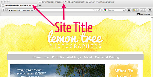 Where to find your Website or Blog Title with SEO