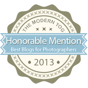Top 10 Must-Read Blogs for Photographers 2013 by The Modern Tog Top 10 Must-Read Blogs for Photographers 2013 from The Modern Tog
