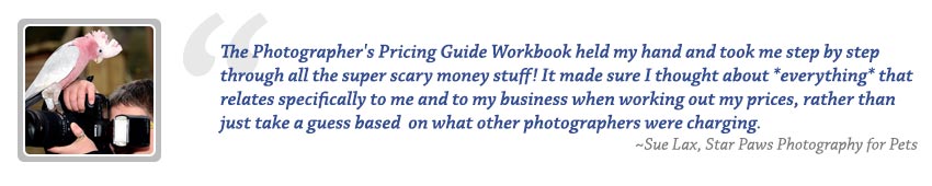 Photography Pricing Guide Review