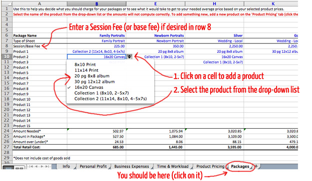 Photographer's Pricing Guide Workbook Screenshot