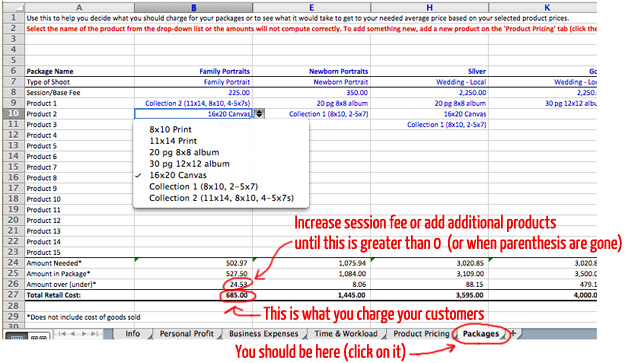 Photographer's Pricing Guide Workbook Screenshot