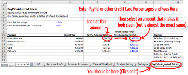 Screen Shot of Workbook