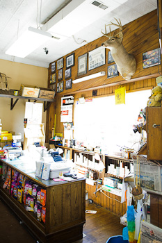 deer head over the register