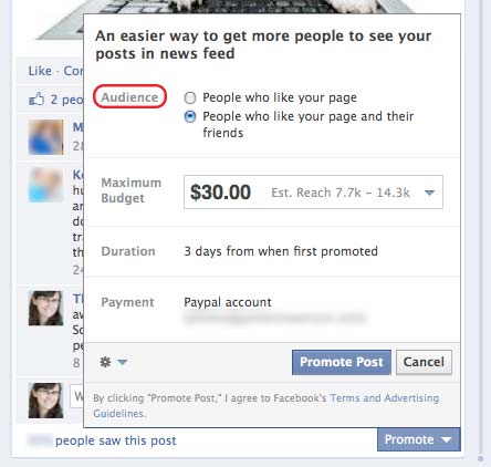 Facbook Promote Post Options