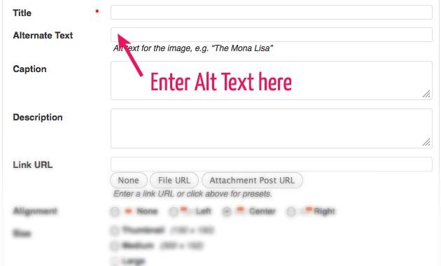 Where to enter Alt Text in WordPress