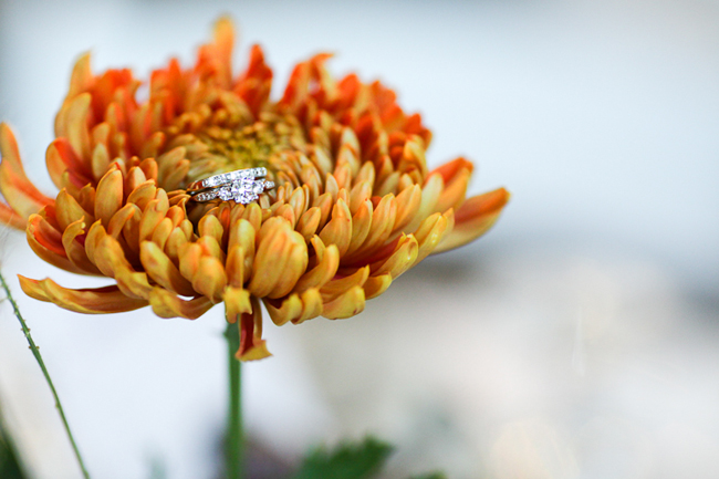 Wedding Ring from Second Shooter