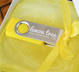 custom flash drive for photographers