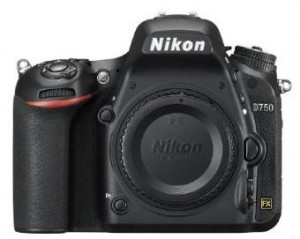 nikon d750 is the best wedding photography camera for staring a business